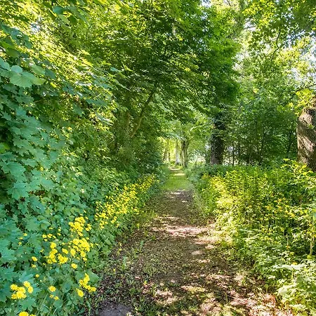 Апартаменты Herrenhaus Samow *