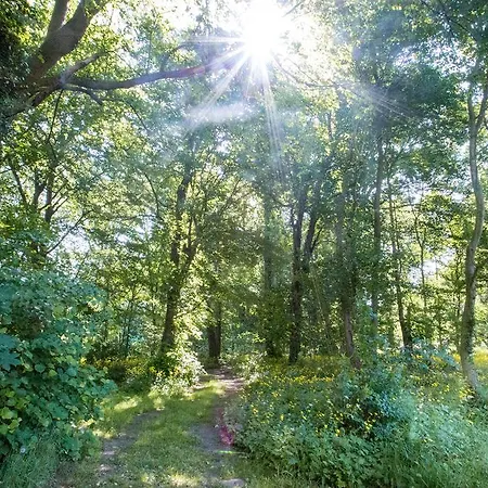 Herrenhaus Samow Behren-Lubchin